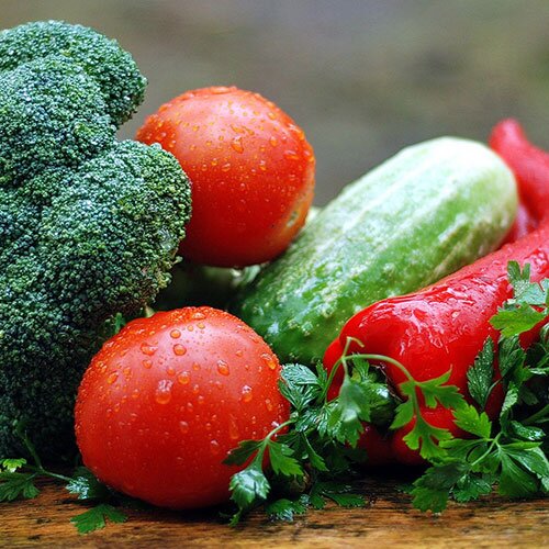 Gemüse & Obstpflanzen 