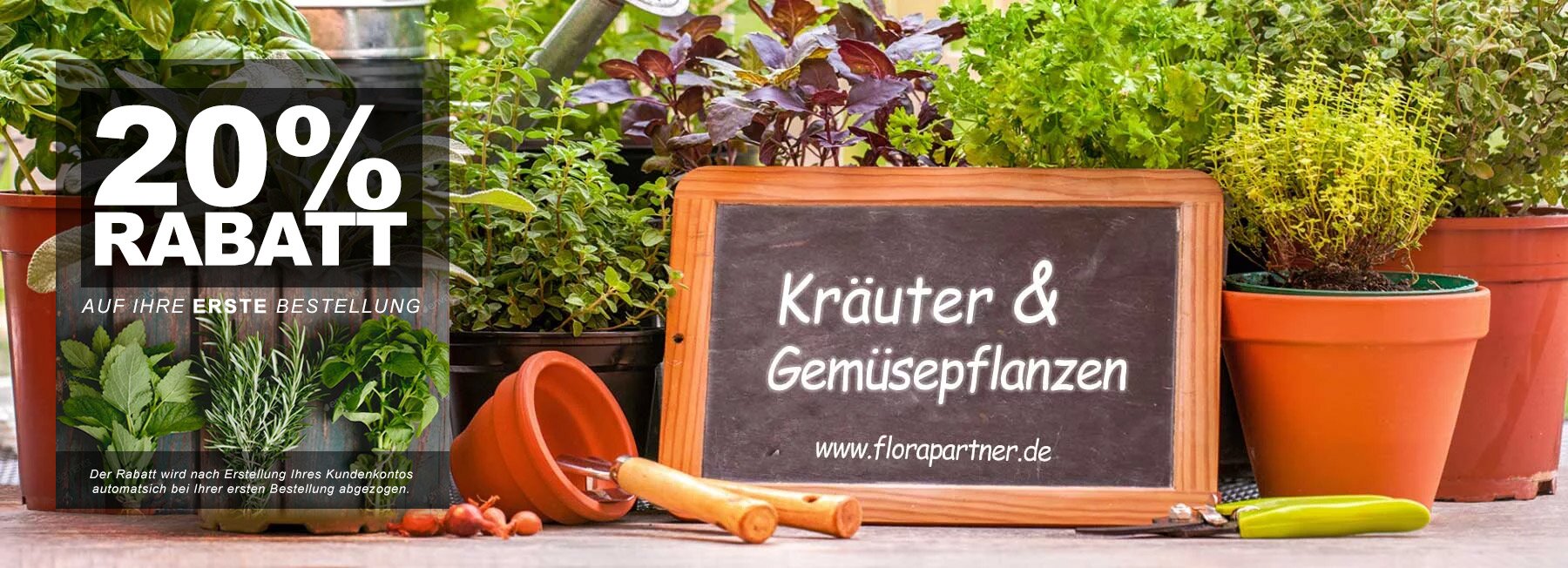 Kräuterpflanzen und Gemüsepflanzen vom Niederrhein